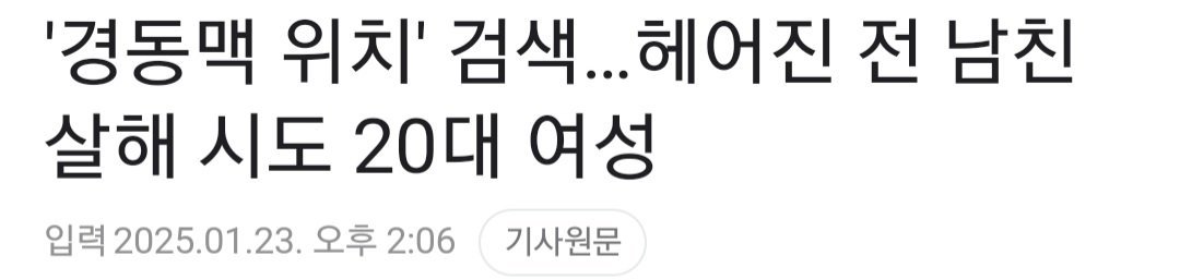 경동맥 위치 검색하고 헤어진 남친 수차례 찌른 20대 여성 징역 7년 ㄷㄷ