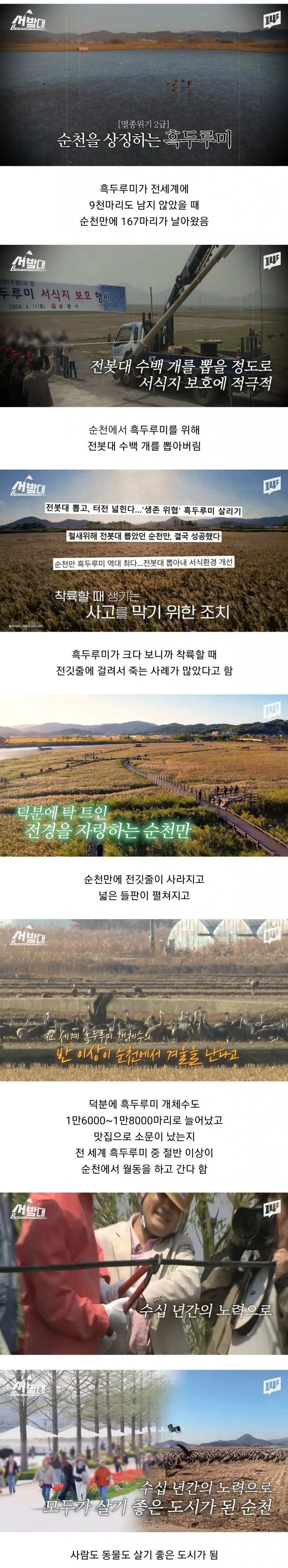 전봇대 수백개를 뽑아버렸던 순천시