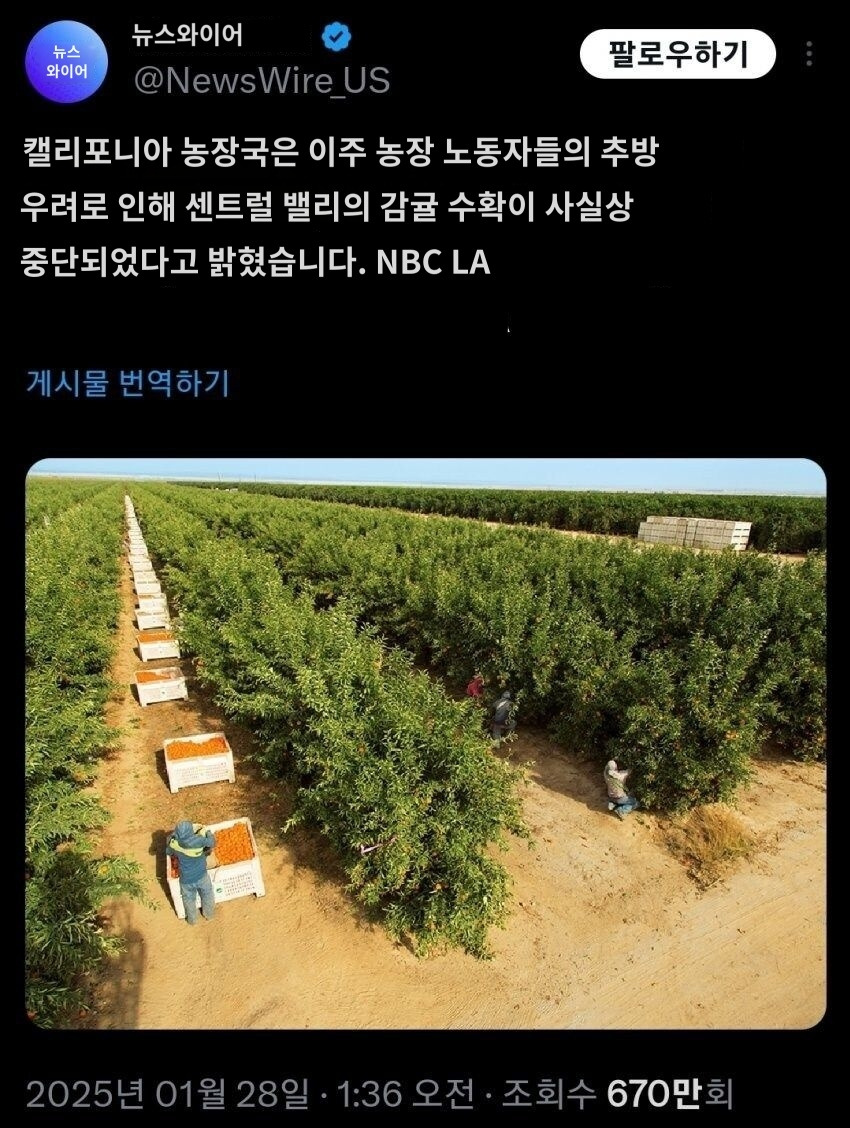 미국 농업 근황