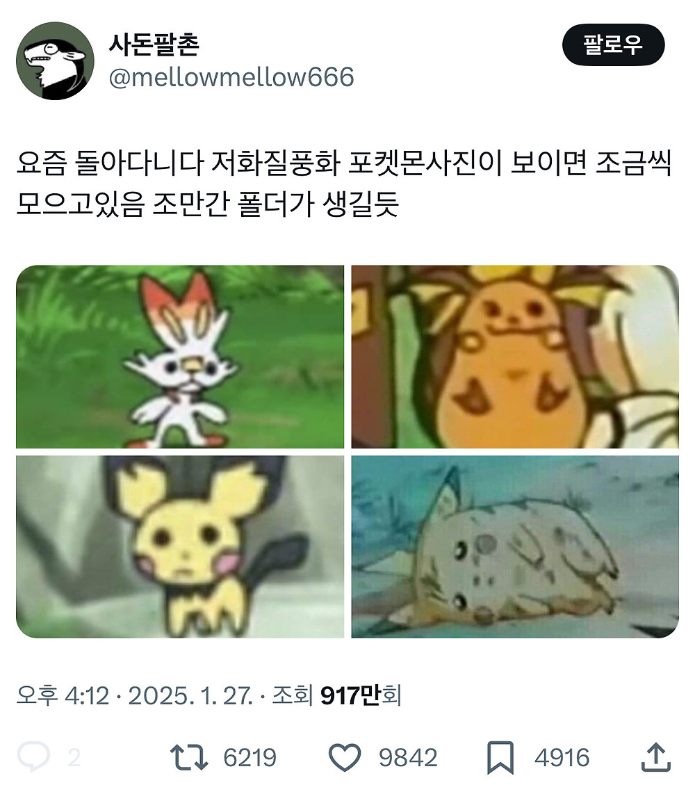 트위터에서 인기인 저화질 풍화 포켓몬