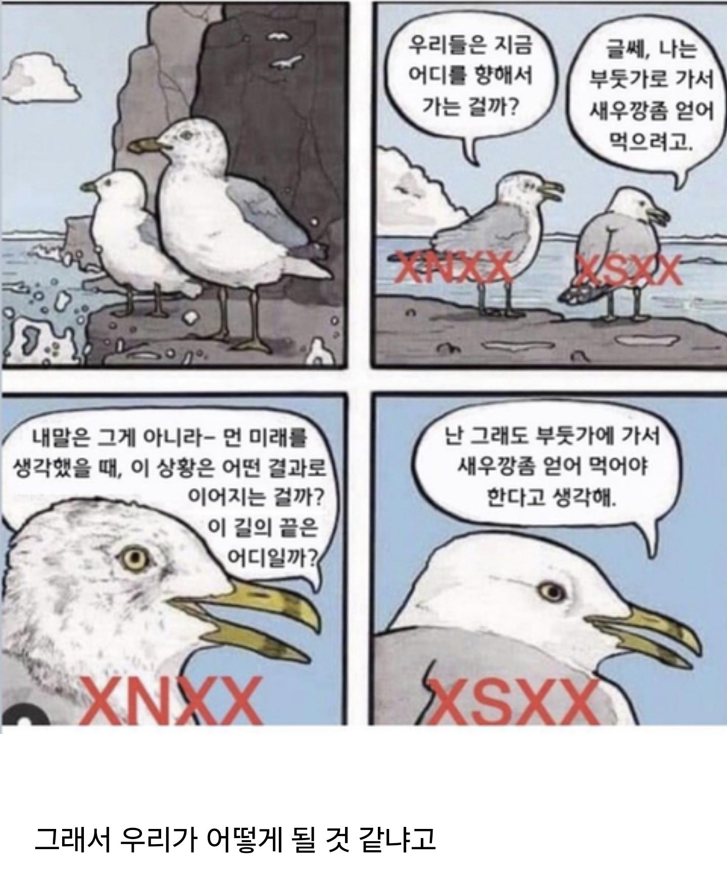 mbti N이랑 S가 대화 잘 안 통하는 이유