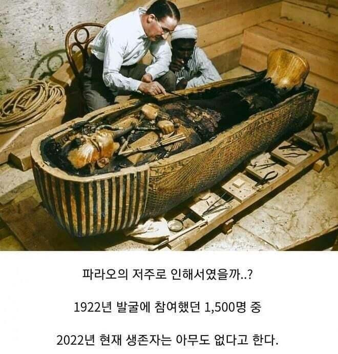 소름돋는 투탕카멘의 저주