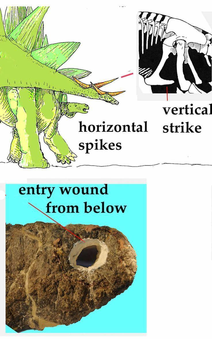 고간 파열로 사망한 지구 최초의 생물