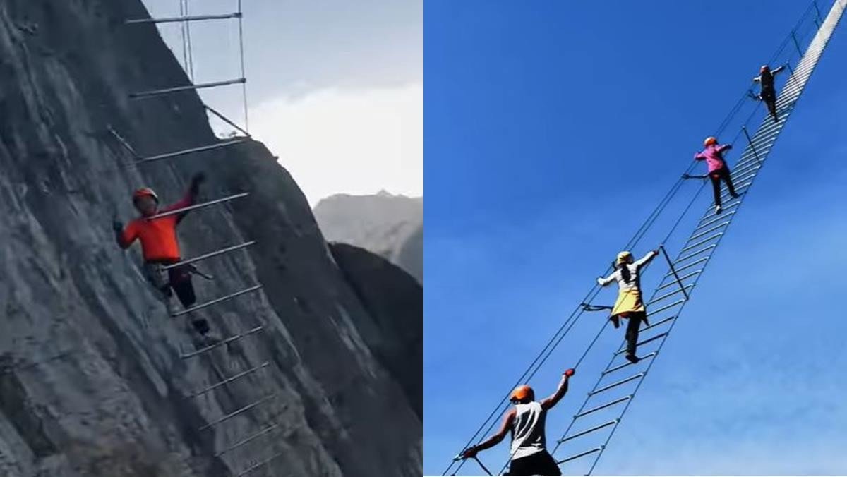 사다리 끝까지 올라가면 1억 준다면 올라간다 vs 안 올라간다