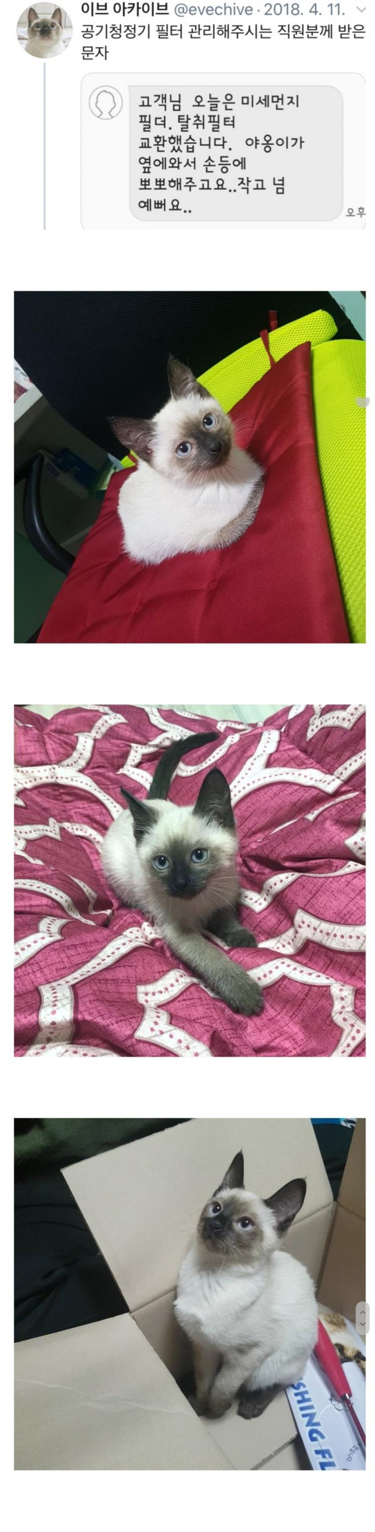 직업만족도 200% 수리기사 ㄷㄷㄷㄷㄷㄷㄷㄷㄷ