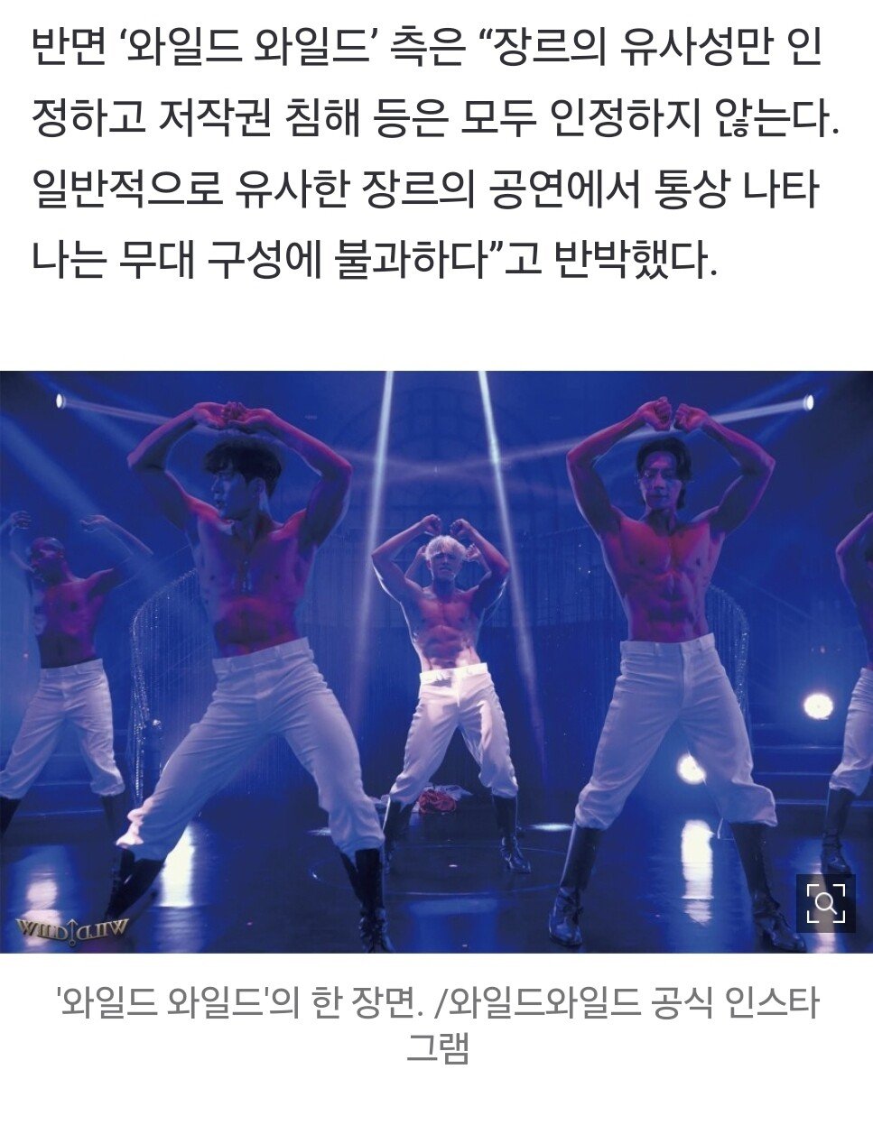 요즘 여성전용 공연(미스터쇼, 와일드와일드)들이 남성스트립쇼라는 법원