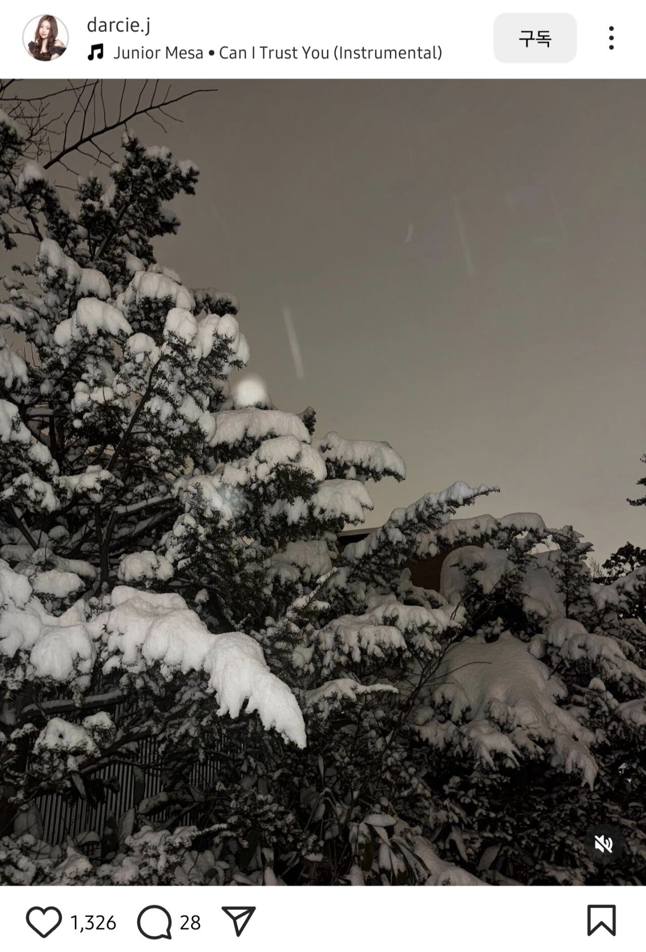 전세사기 논란있던 유튜버 달씨 인스타