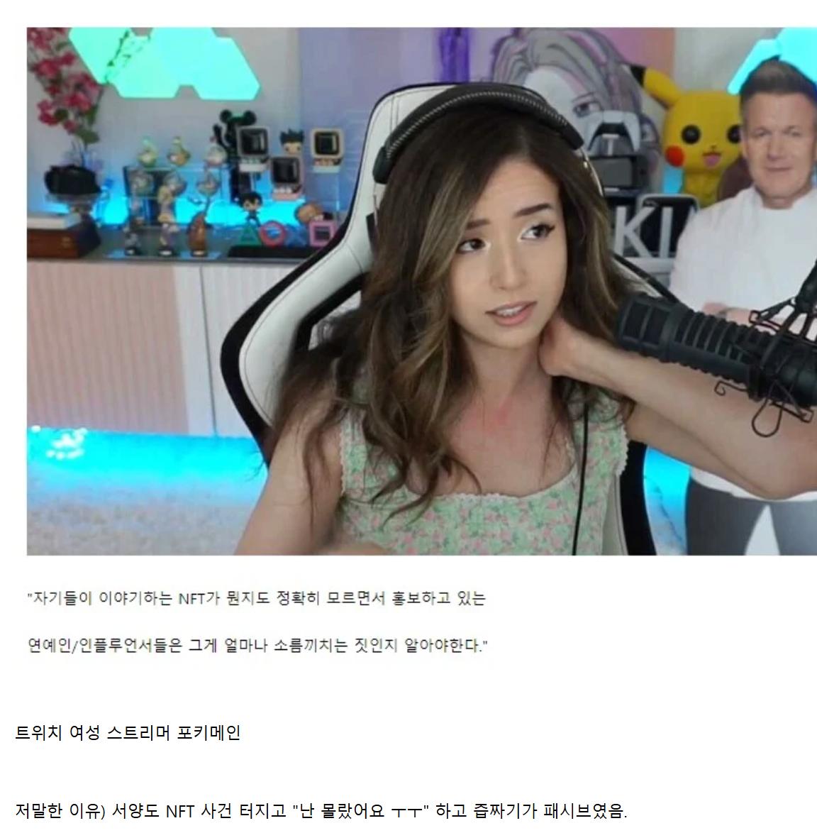 연예인,인플루언서 NFT 발언은 서양스트리머가 한 일침으로 정리됨