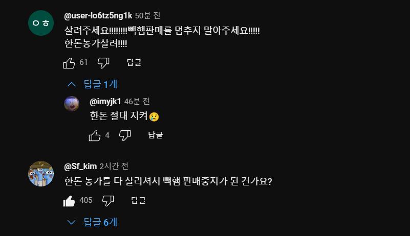 백종원 빽햄 유튜브의 댓글 장인