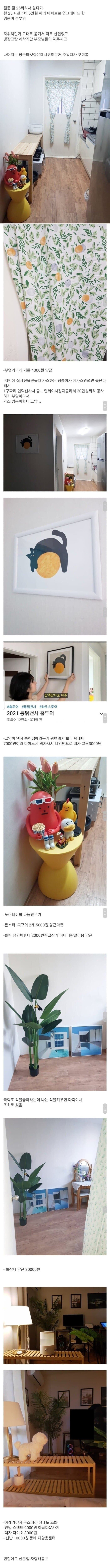 여초 악플 900개 신혼집