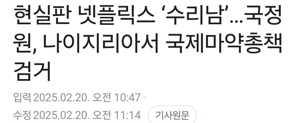 국정원 "한국 겨냥 국제마약조직 총책 나이지리아인 검거"
