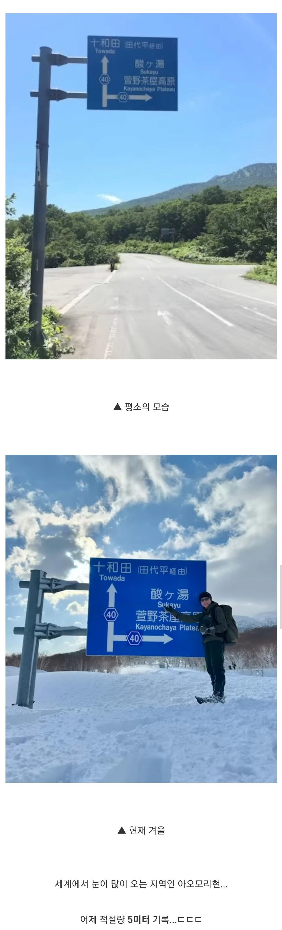 어제 눈이 5m 왔다는 일본의 어느 지역 ㄷㄷ