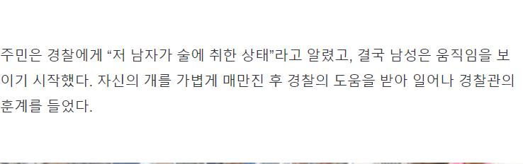 술 취해 길에서 자는 주인 철벽 방어하는 강아지