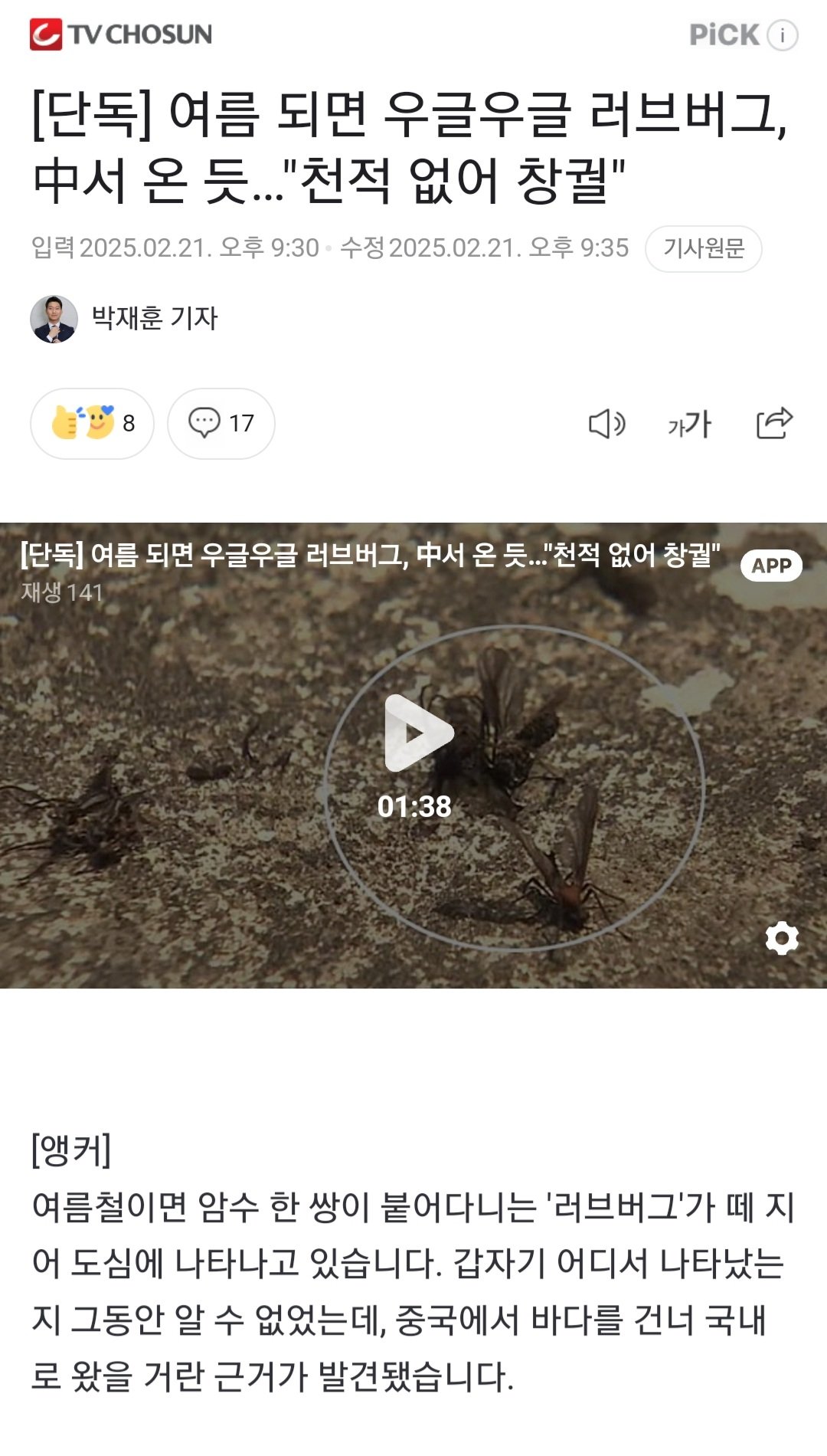 [단독] 여름 되면 우글우글 러브버그, 中서 온 듯…"천적 없어 창궐"