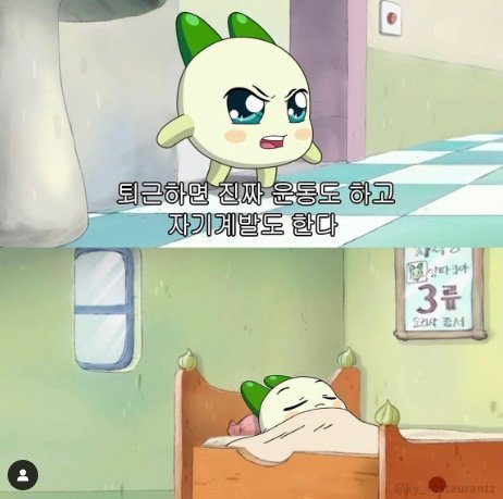 직장인들이 많이 하는 거짓말