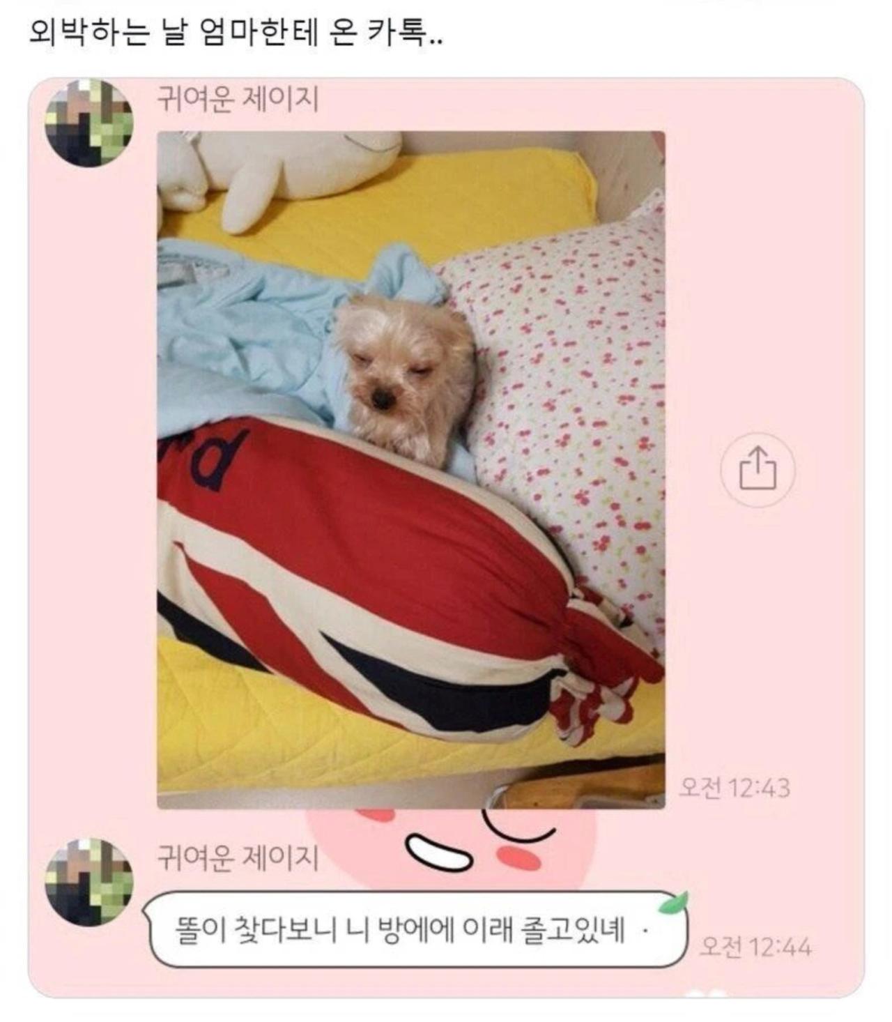 외박하는 날 엄마한테 온 카톡 ㅠㅠ
