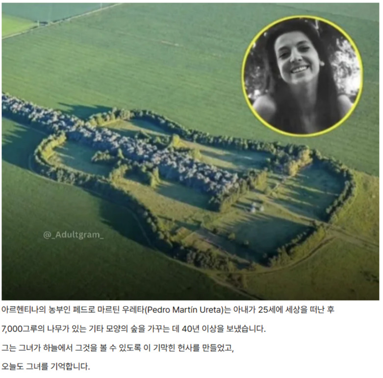 아르헨티나 농부가 세상을 먼저 떠난 아내를 위해 가꾼 숲