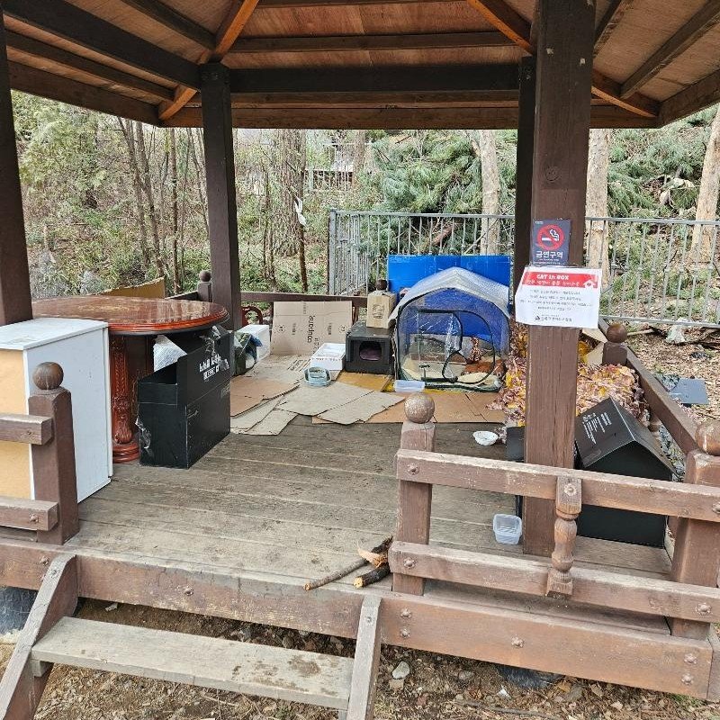 광교산에 캣맘이 해놓은 테러 ㄷㄷ