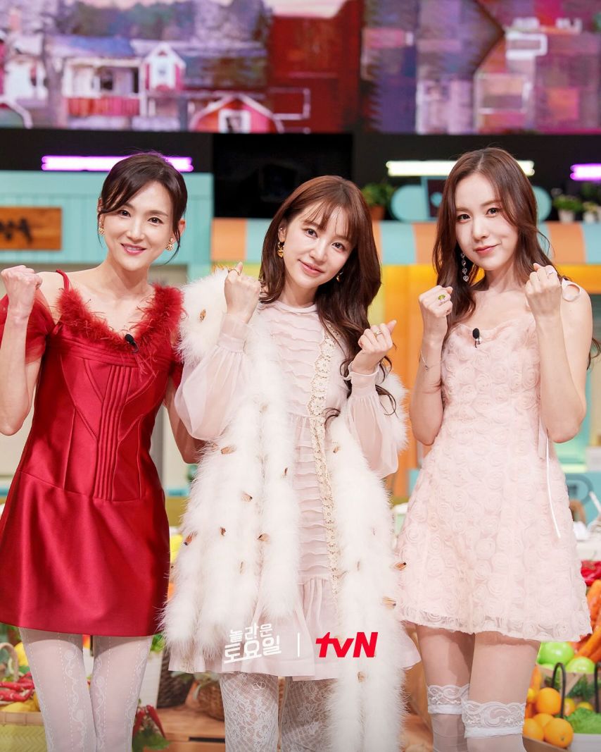 이희진 간미연 윤은혜 베이비복스 놀토