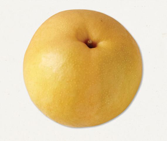 흰 끈나시 윈터..집중력을 향상시키는 흰 끈나시 매력포인트