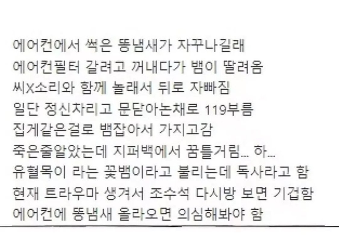 차안에서 땀냄새 났던 이유