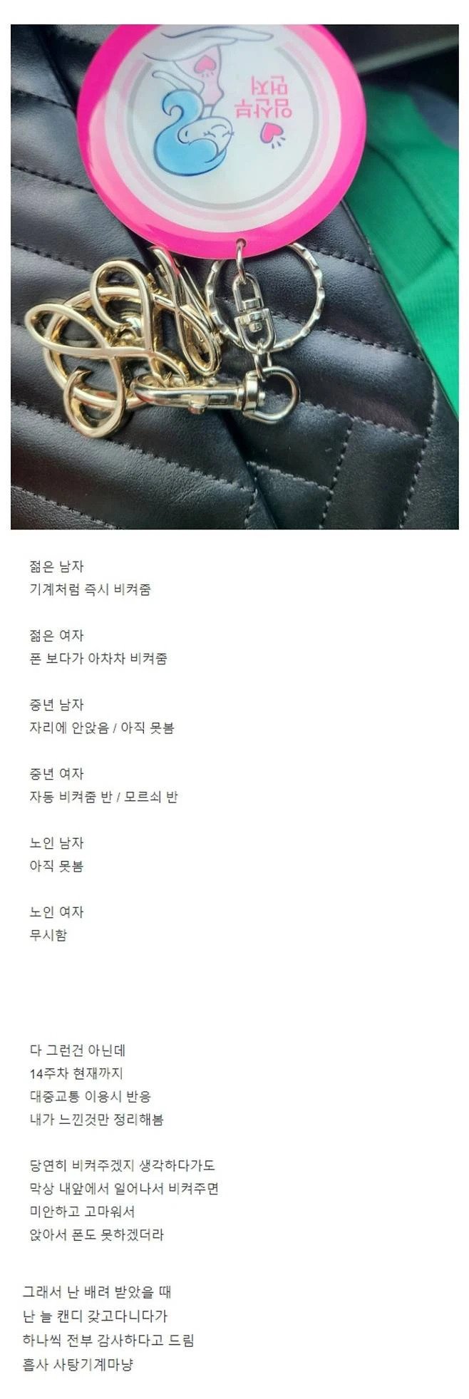 14주차 임산부가 임산부 뱃지를 들고 다녀 본 후기