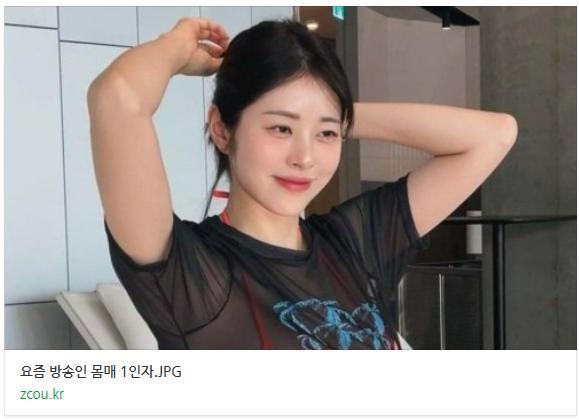 ㅇㅎ)요즘 여자 방송인 몸매 1티어.jpg