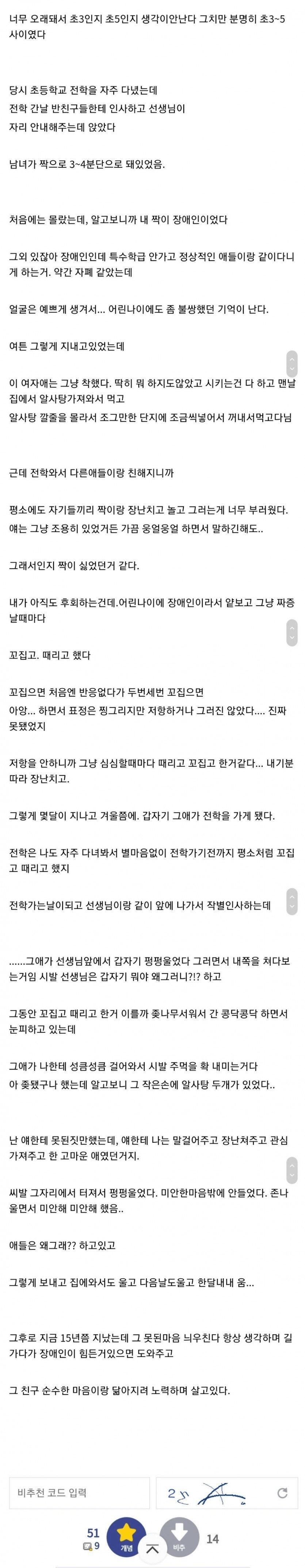 초 5때 여자장애인이 짝이었던 디씨인