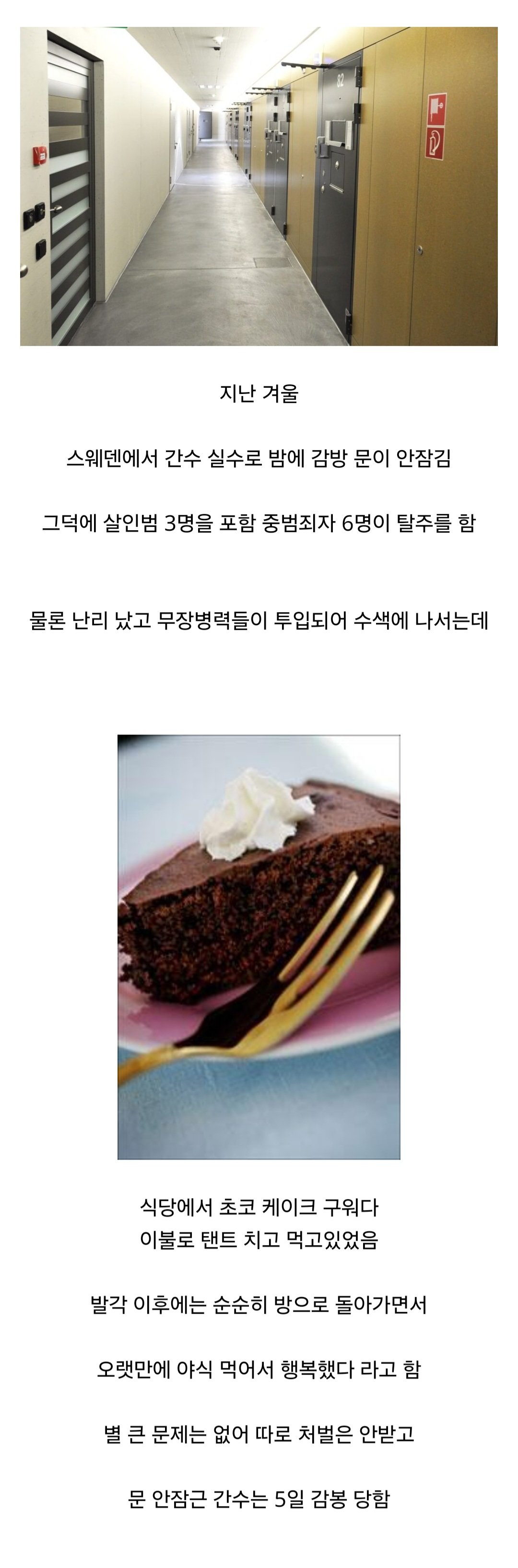 충격적인 스웨덴 살인범 6명 탈옥 결과