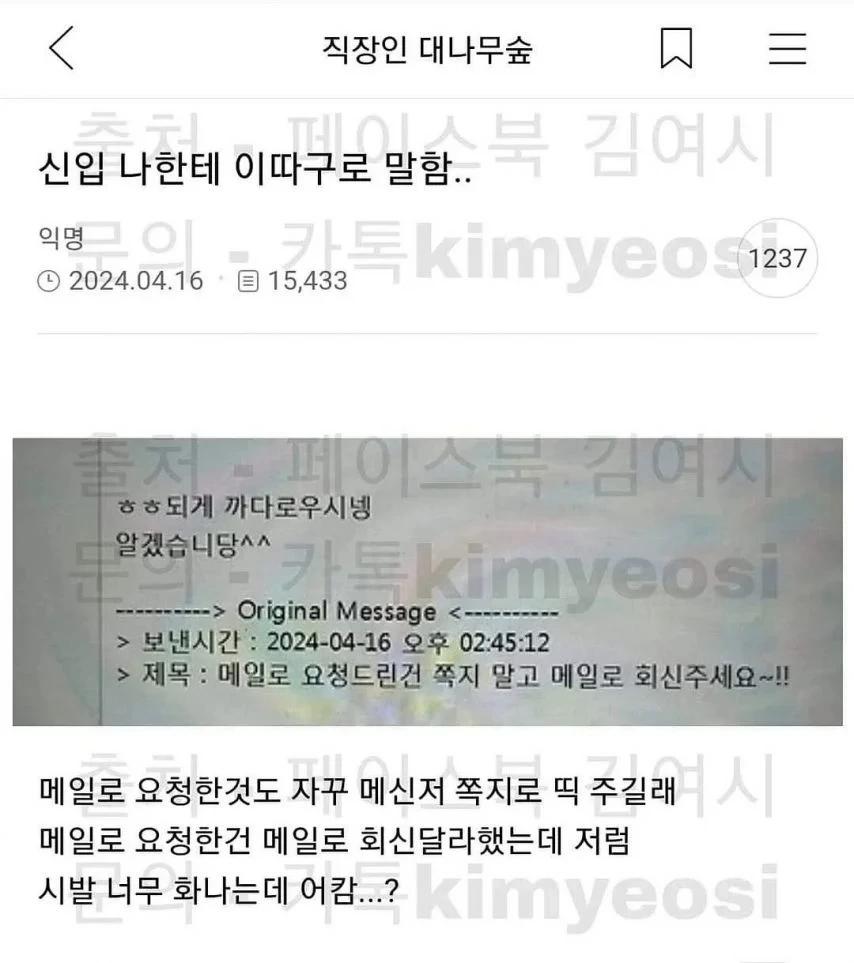 신입이 나한테 이따구로 말함