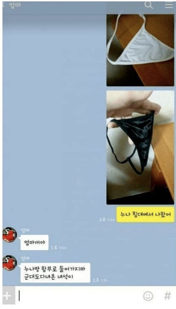 ㅇㅎ) 엄마한테 누나팬티 일렀다
