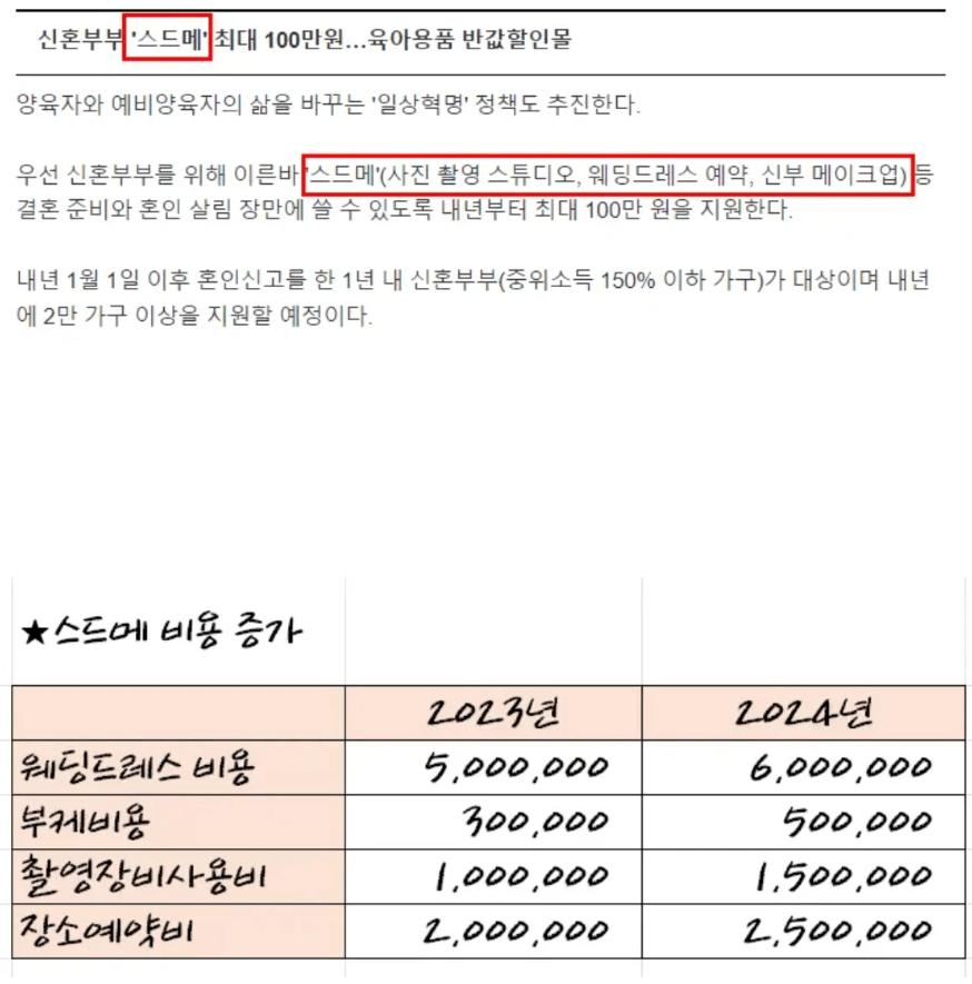 국가에서 결혼식 스드메 비용 100만원을 지원해주면 벌어지는 일