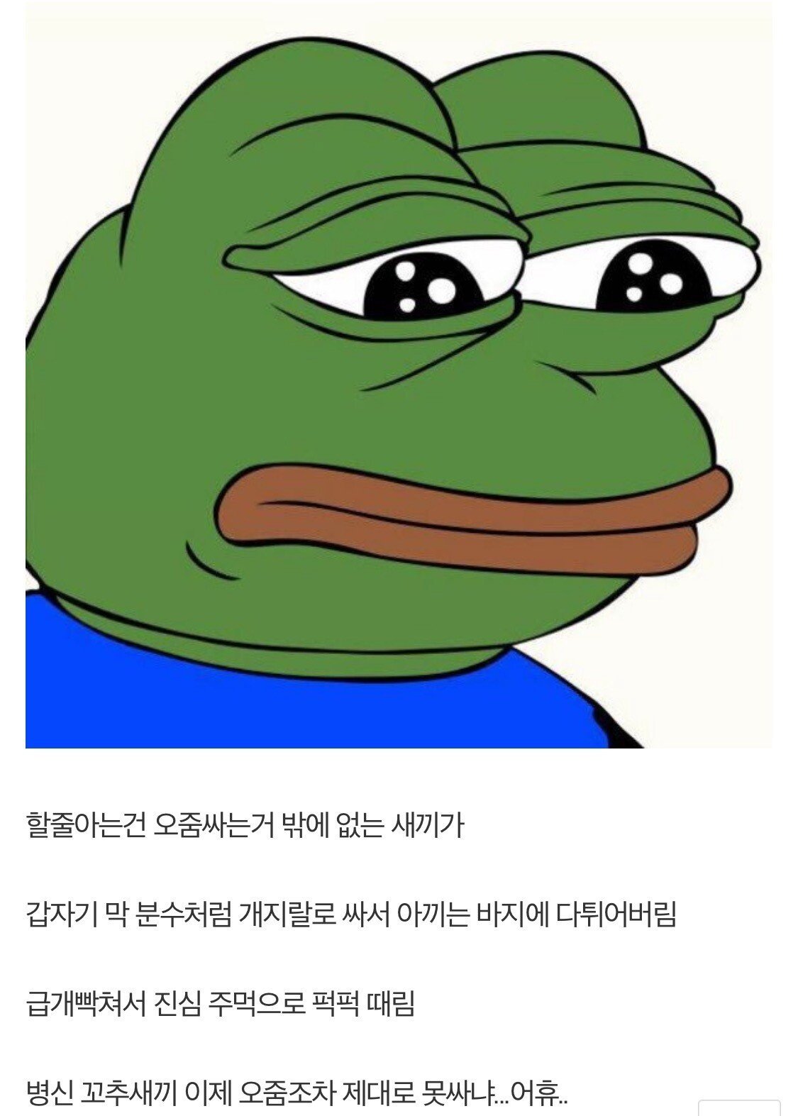 방금 내 꼬추 감정실어서 존나 때림