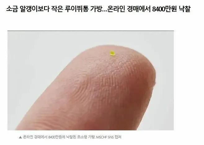 온라인에서 8400만원에 낙찰된 루이뷔통 가방