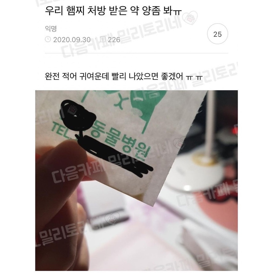 우리 햄찌 처방 받은 약 양 좀 봐