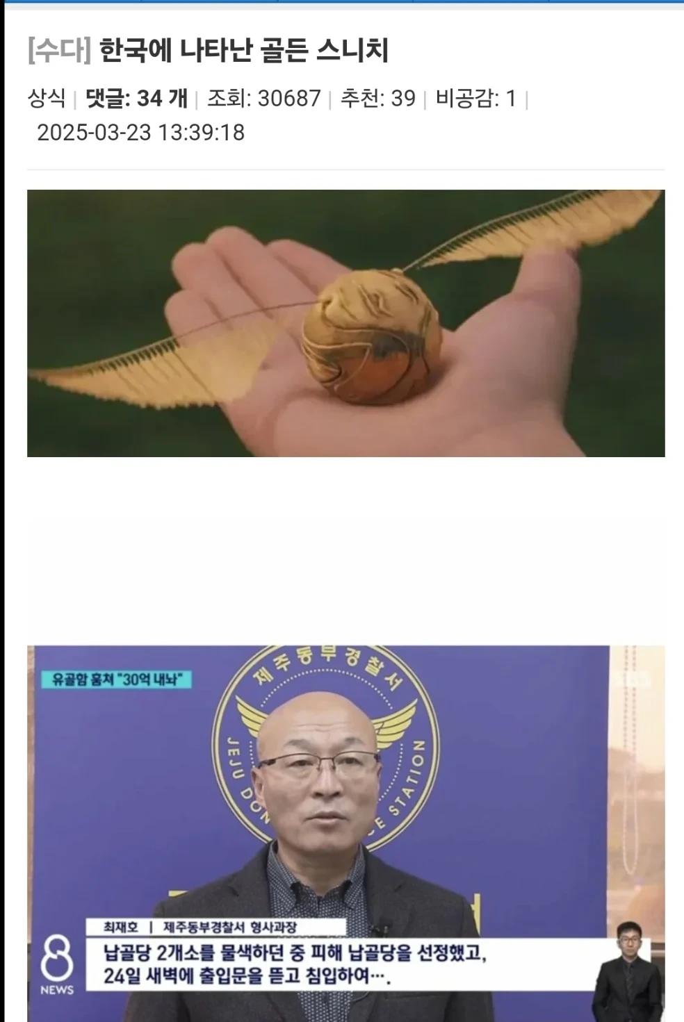 한국에 나타난 골드 스니치