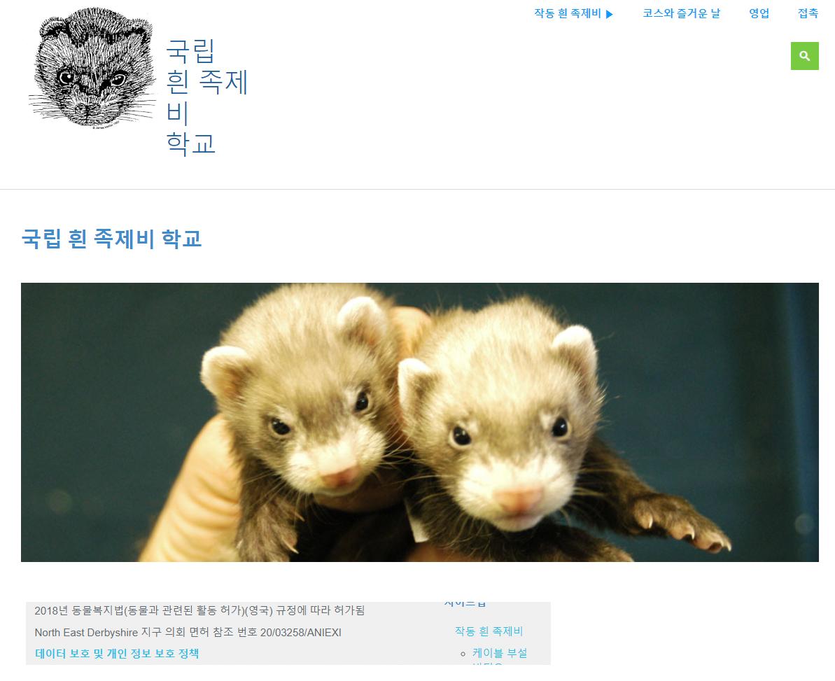 흰담비로 전기 케이블 설치하는법