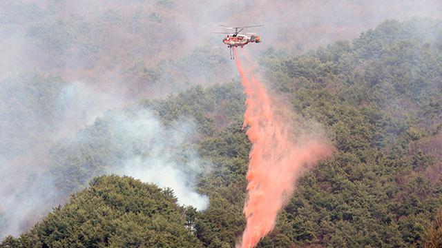 [속보] 산림청, 산불 재난 국가 위기경보 ‘심각’ 단계…전국 확대