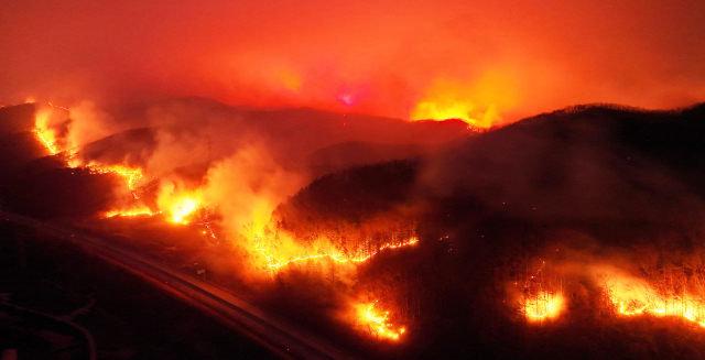 빵 5000개·치킨 1000인분…모조리 산불 피해 지역으로 간다