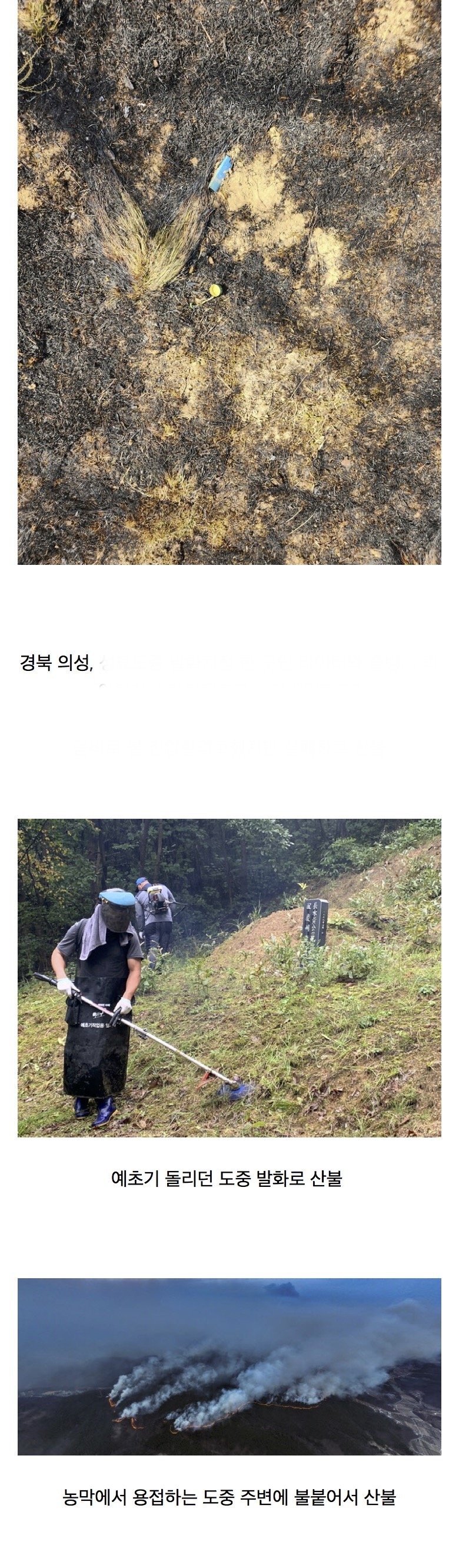 현재 대형산불 3곳 원인