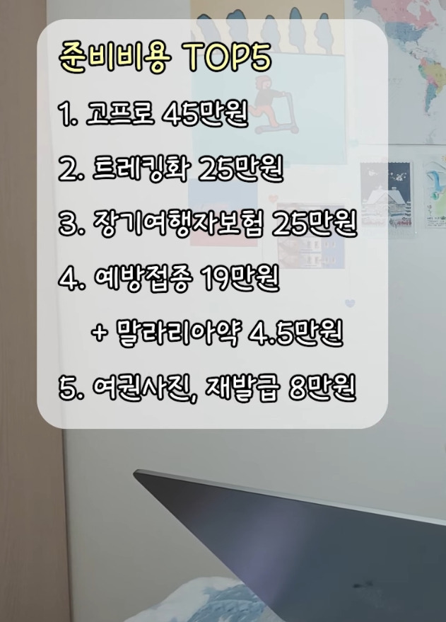 22개국 여행한 유튜버의 총 경비