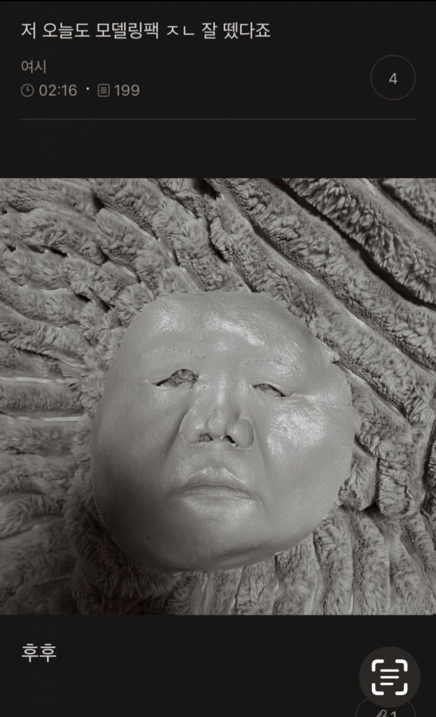 모델링팩 한 여시 근황..