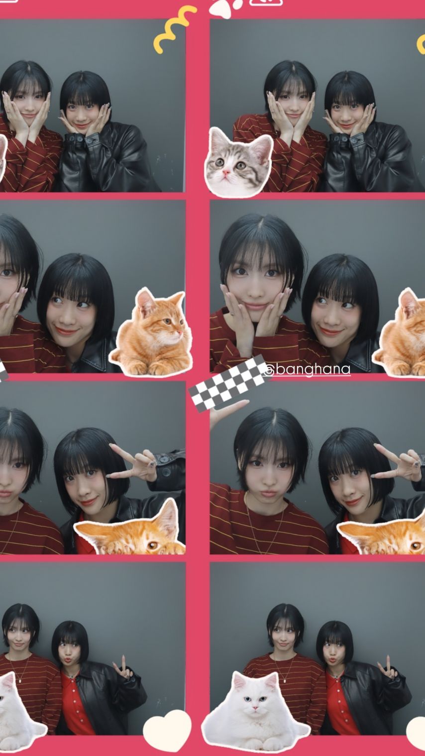 트와이스 인스타-모모,미나,다현