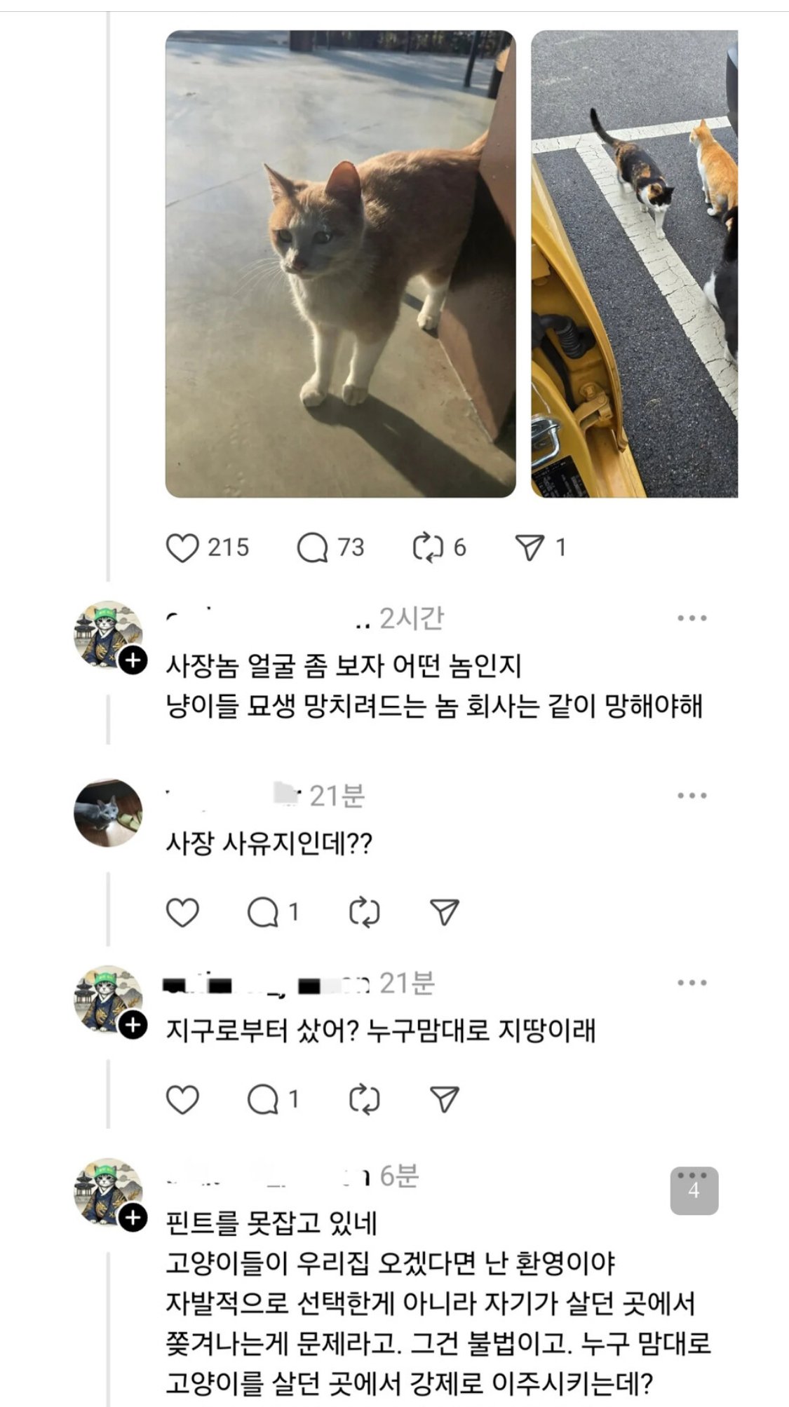 논리적인 캣맘 등장..