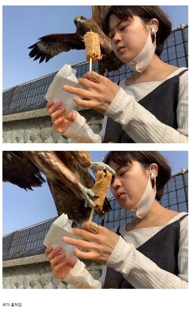 길에서 함부로 음식 먹으면 안되는 이유