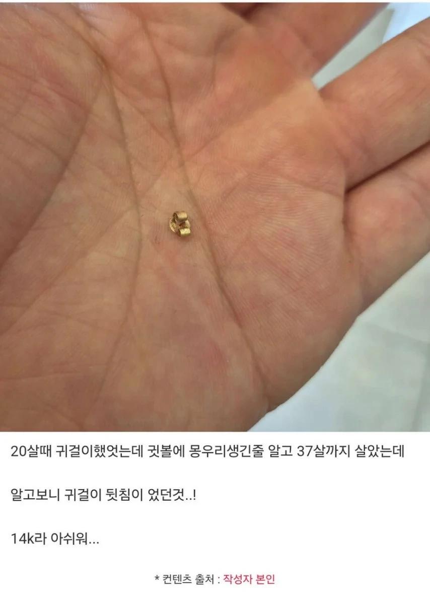 17년 만에 발견한 금