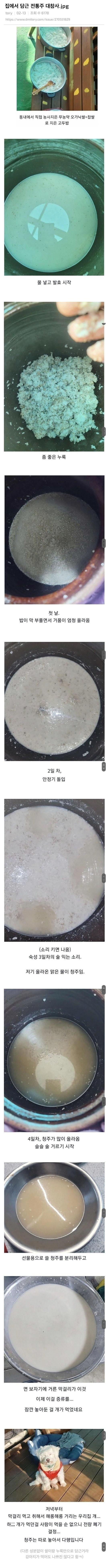집에서 담근 전통주 대참사 ㄷㄷ