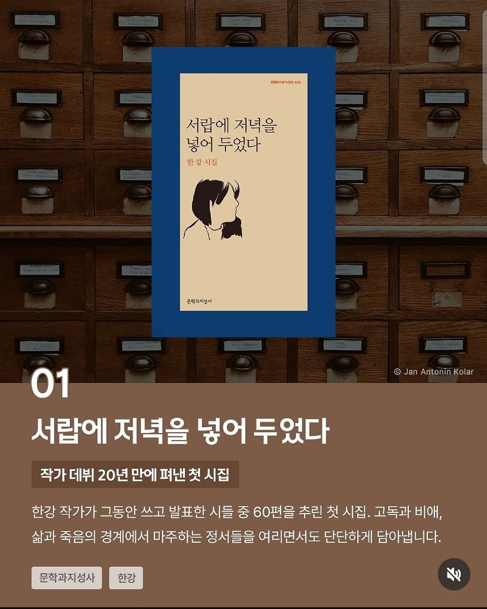 다독왕 카리나가 추천하는 책