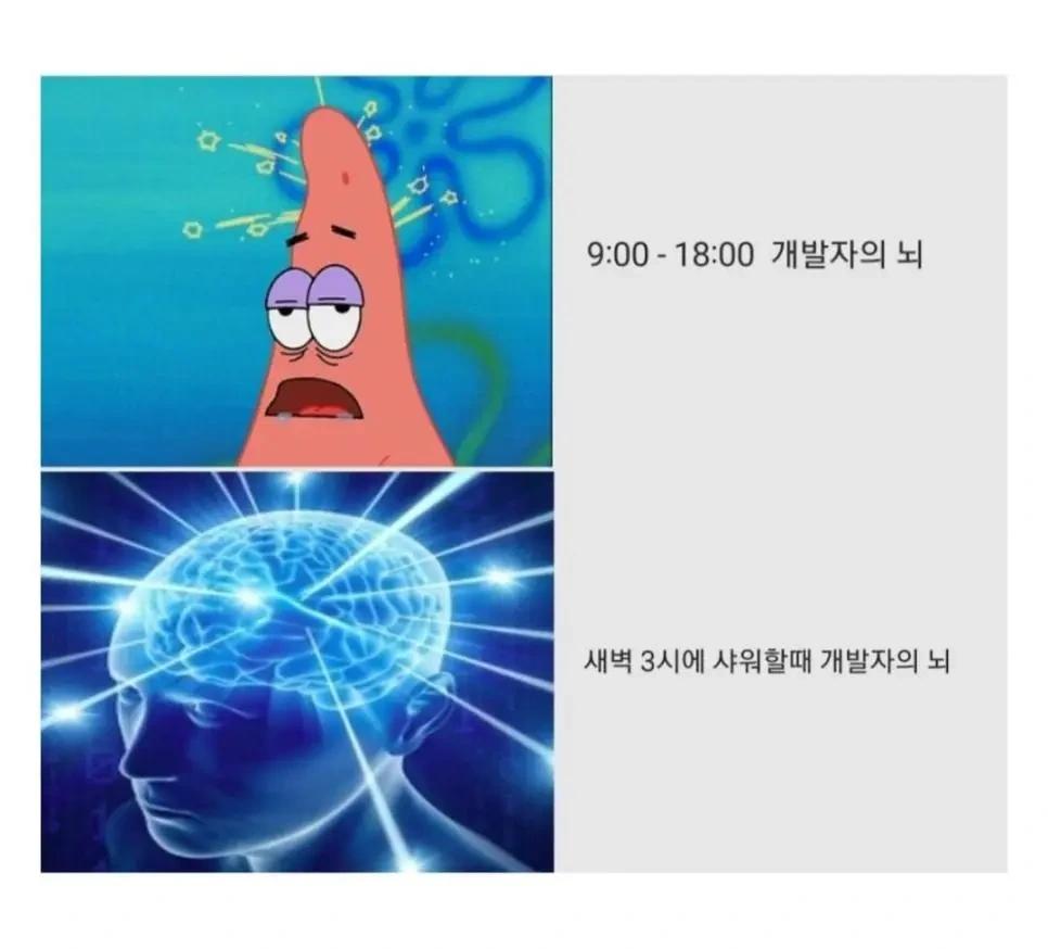 개발자 뇌 특징
