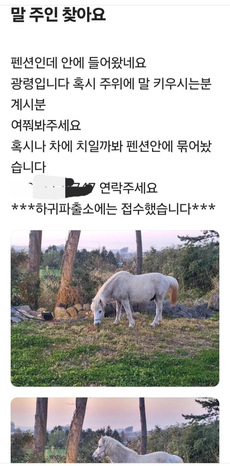 제주도 당근마켓 클라스ㄷㄷㄷ